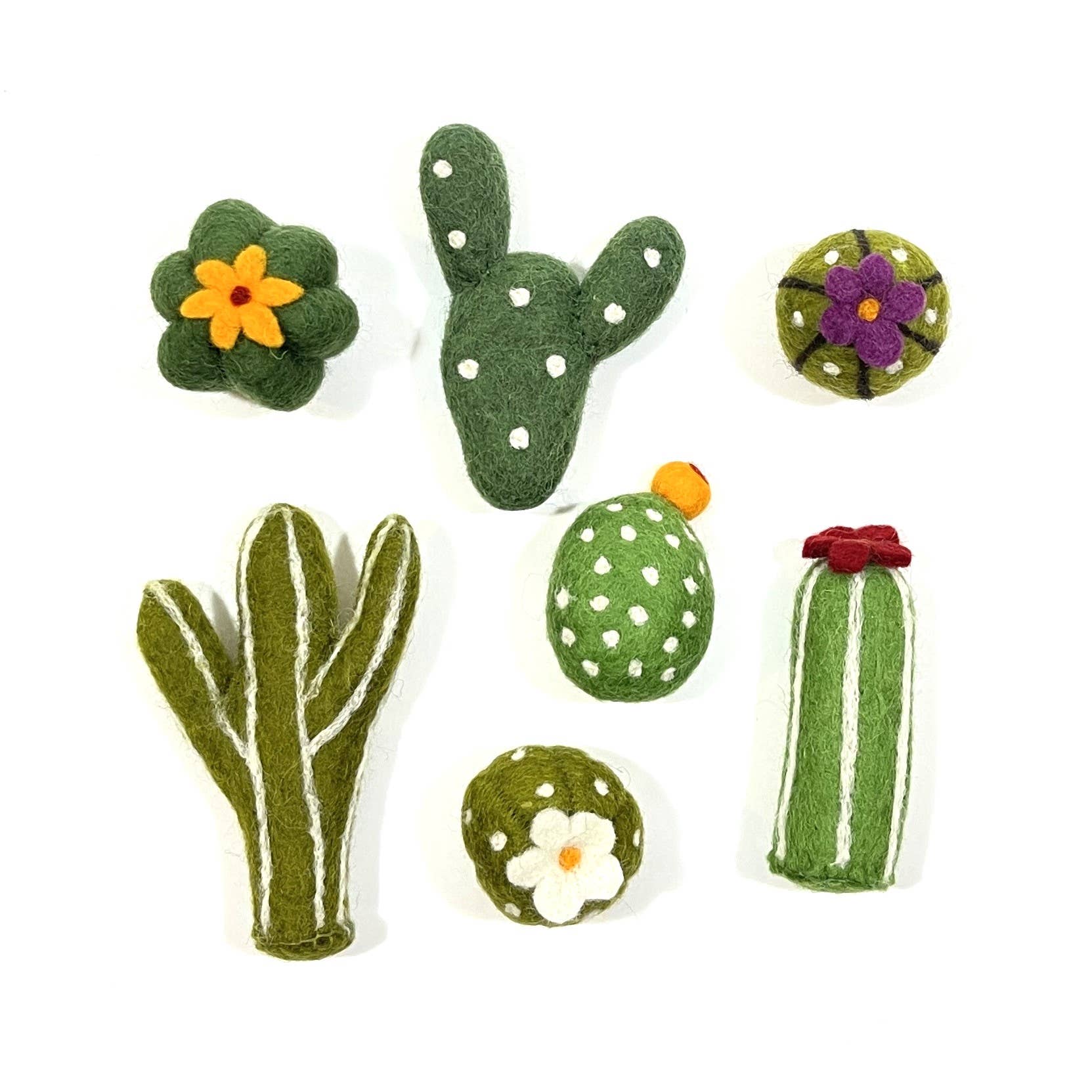 succulents cats Cat Toy, Pack 2, Succulents – Creative Women of the World