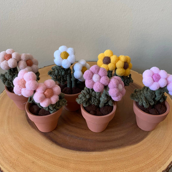 Pompom, Felt & Macrame Forever Fibre Flower -Mini Double