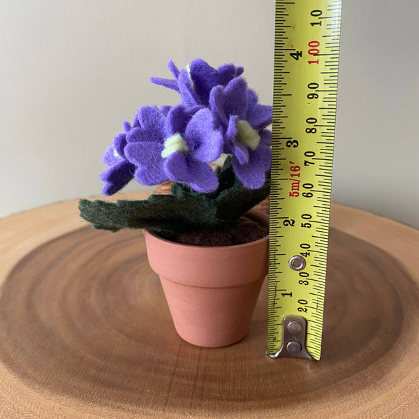 Primrose Felt Forever Flower
