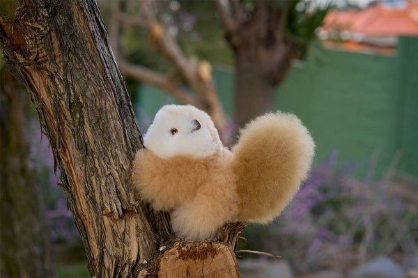 ALPACA SQUIRREL FRIEND