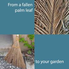 Mini Coconut Palm Broom