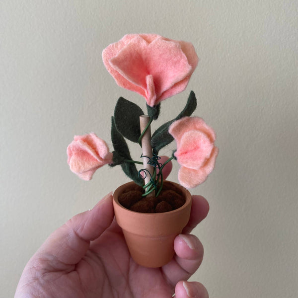 Sweet Pea Felt Forever Plant (April Birth Month Flower)