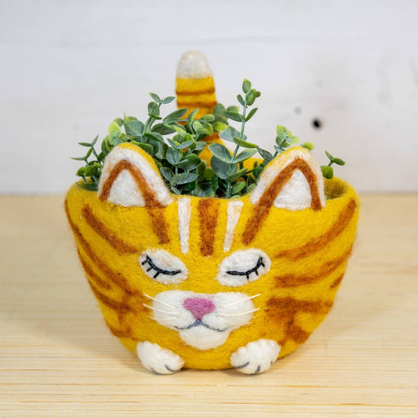 Tabby Felt Pot