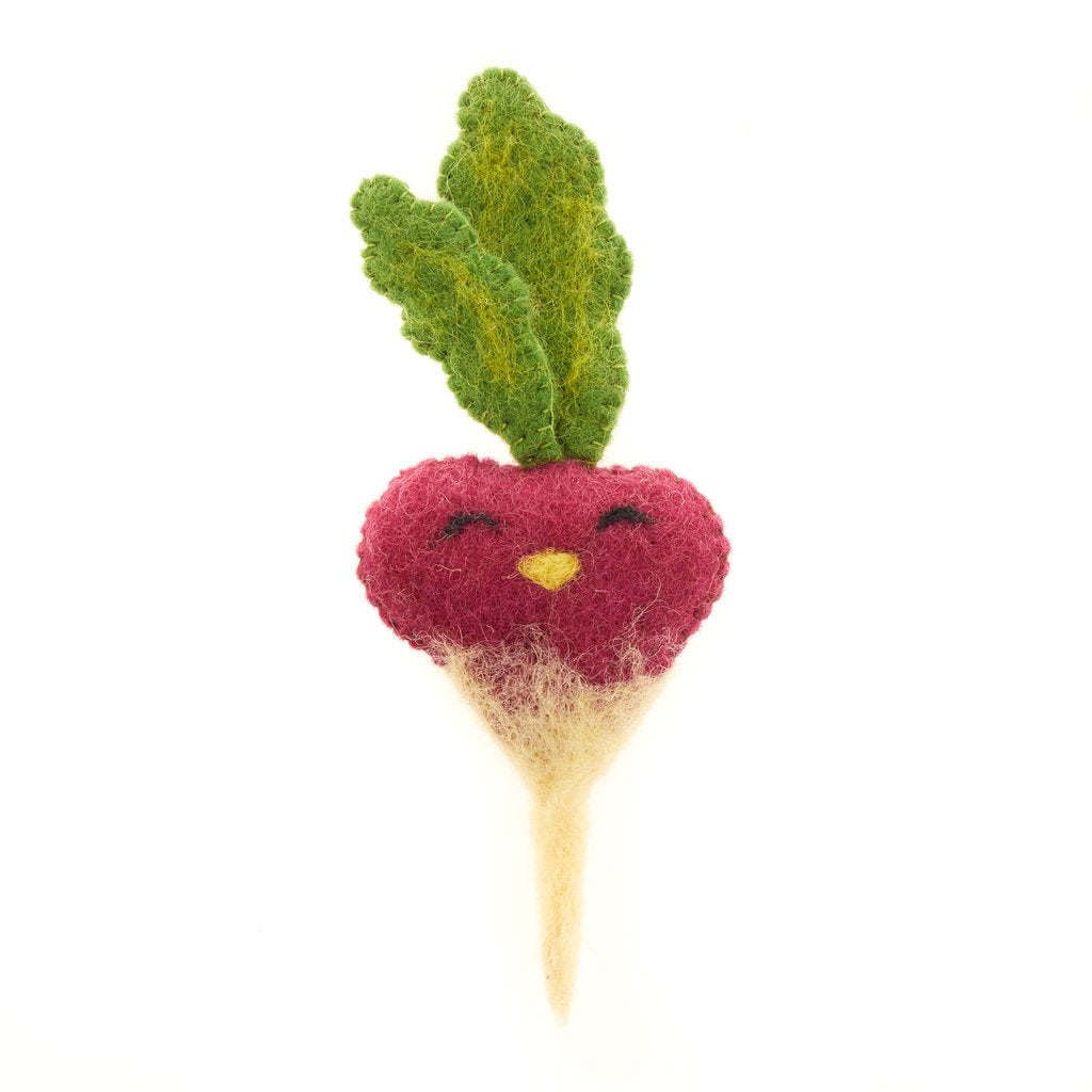 Felt Fruits & Veggies