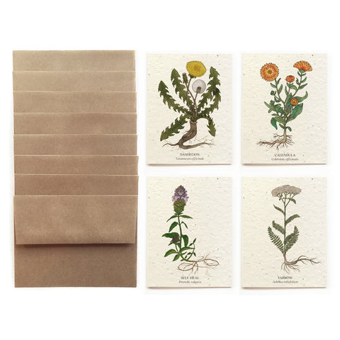 The Bower Studio Greeting Card Set