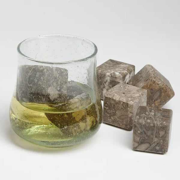 Fossil Stone Drink Cubes